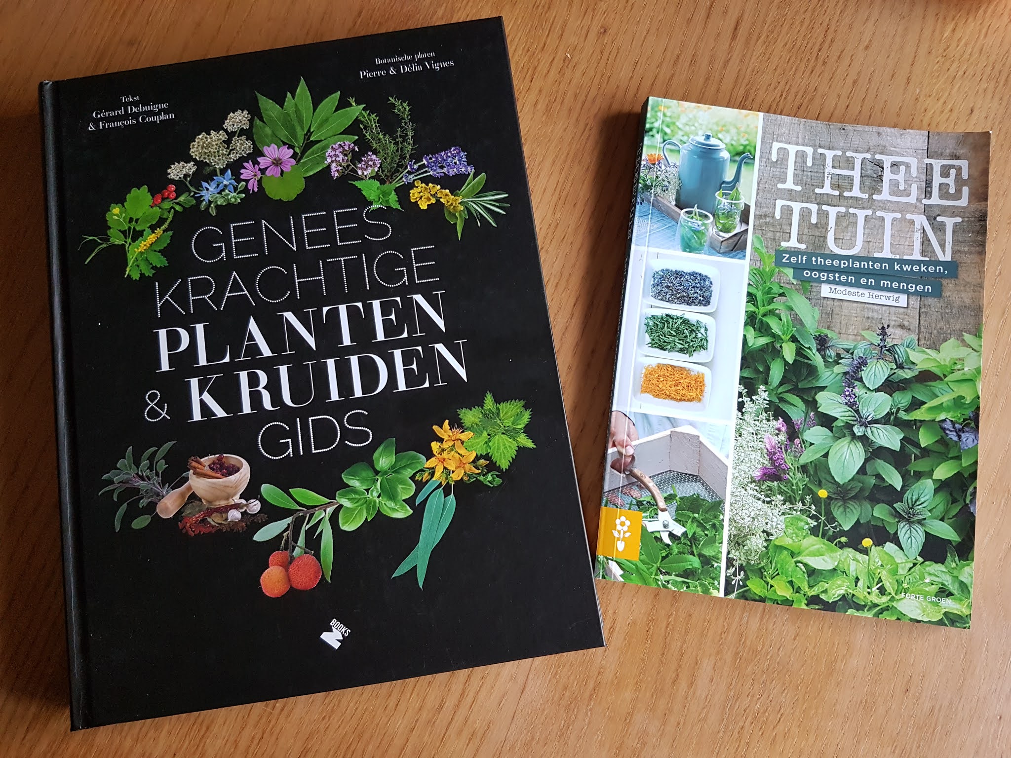 Weg naar zelfvoorziening: Leestip: Geneeskrachtige planten