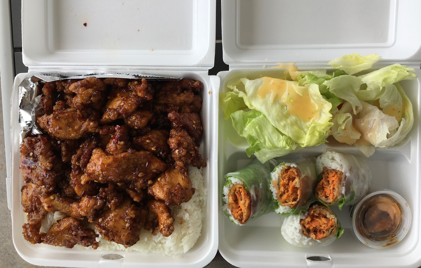 Houston Food Explorers Wrap & Roll Fusion Asian Food in Pearland
