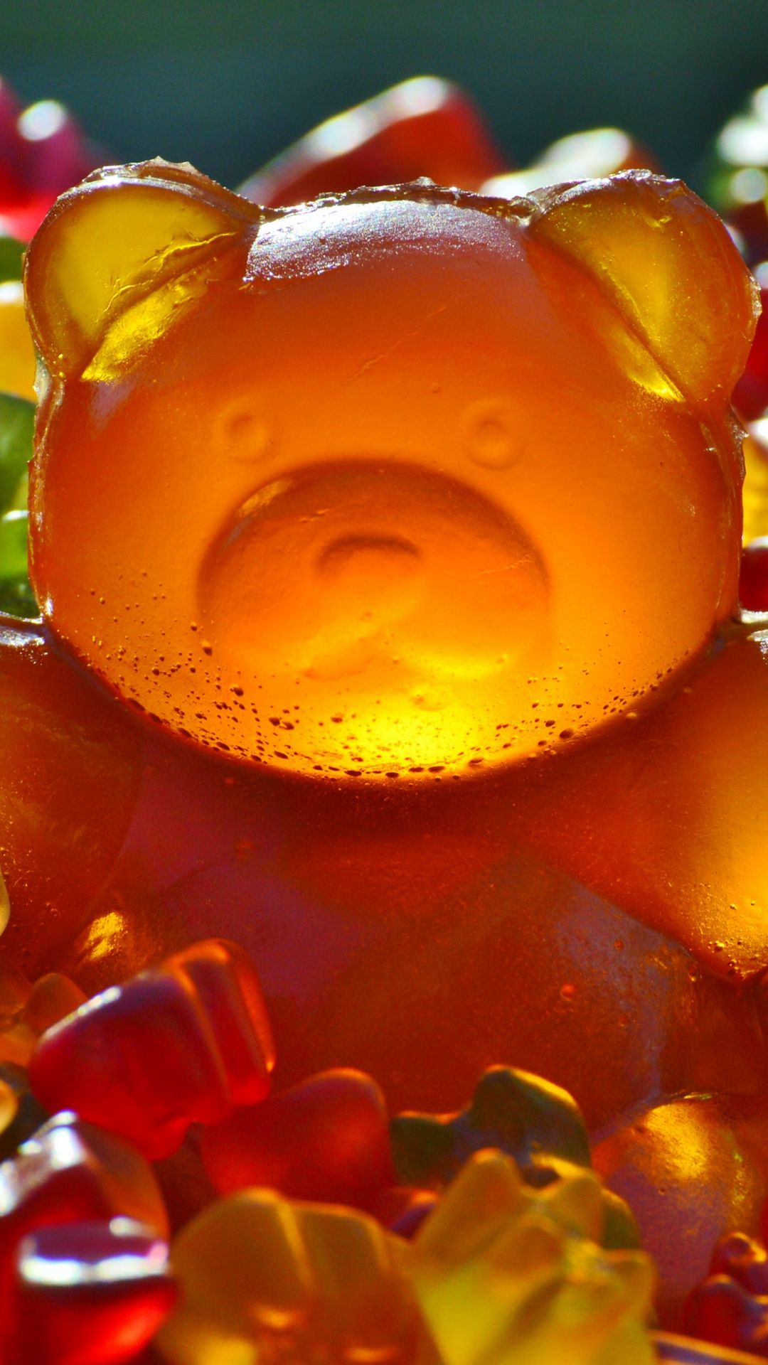 Marmalade Sweets Free HD Wallpaper