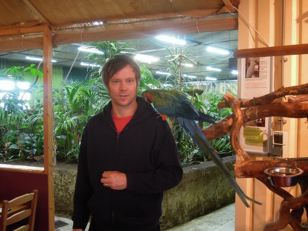 webiblog Dezember 2013