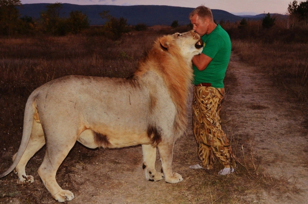 Лев Гек Тайган