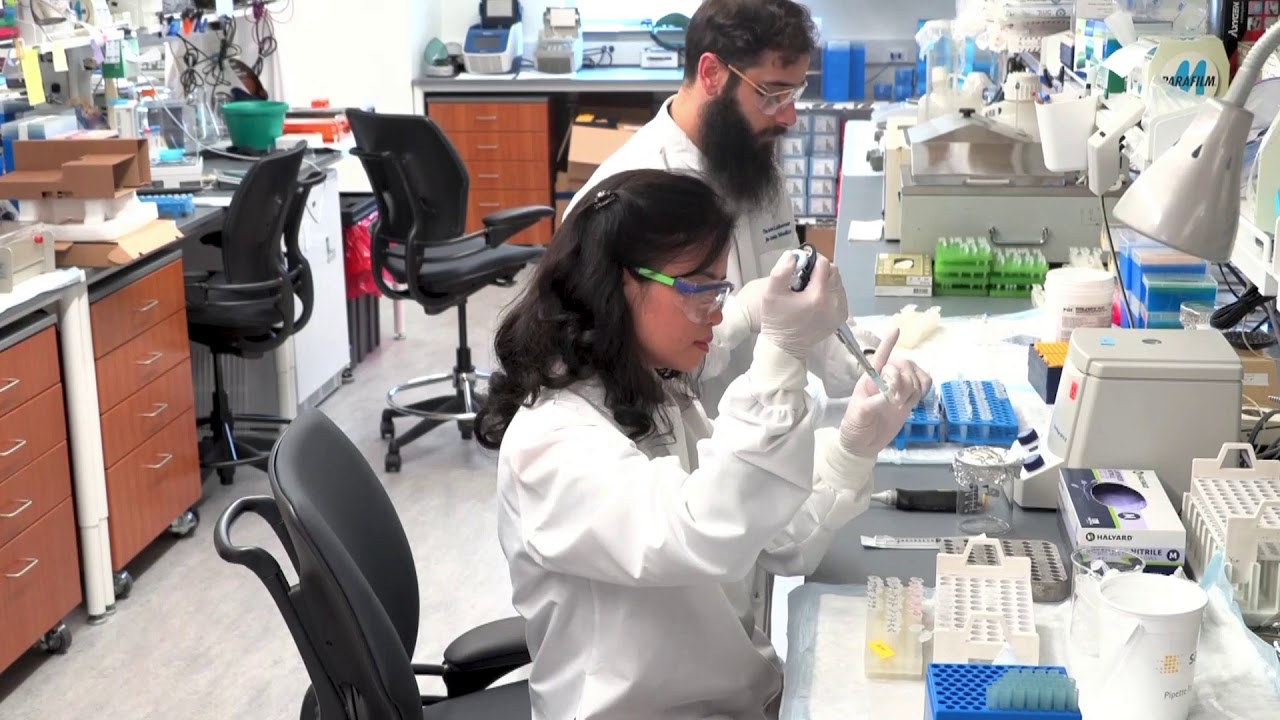 MedFriendly Medical Blog How to Choose the Right Type of Laboratory