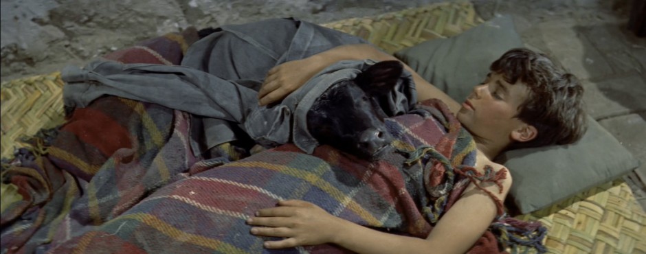 ARENAS SANGRENTAS (LEGENDADO/1080P) – 1956 FormatFactoryArenas%2BSangrentas%2B1956%2B1080p%2B%2528legendado%2529.mp4_snapshot_00.07.24.694