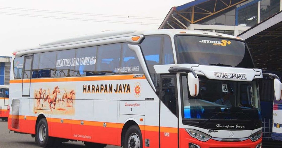 Daftar Bus Paling Populer Di Indonesia Ceritamobil Xyz