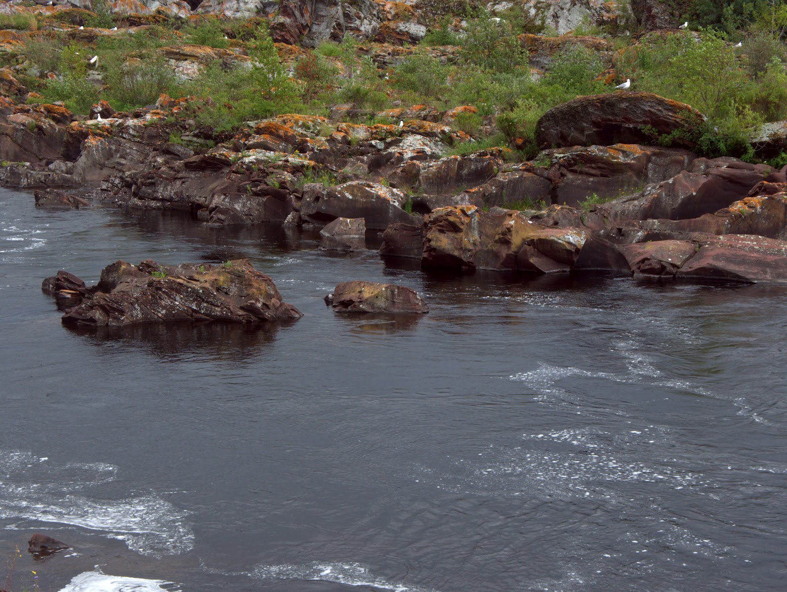 Bill and Nancy wandering Salmon ladder and hydroelectric plant