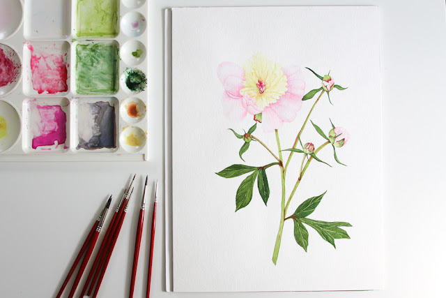 peonies, painting, watercolor, Anne Butera, My Giant Strawberry