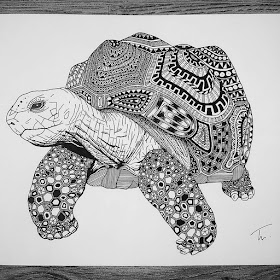 03-Zentangle-tortoise-Tobias-www-designstack-co