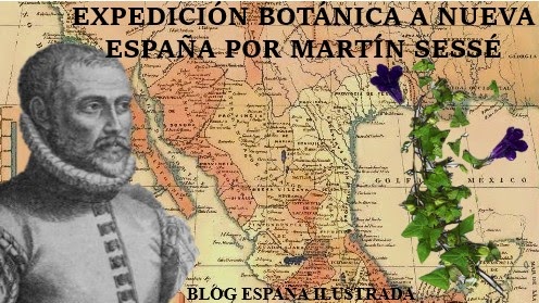 ESPAÑA ILUSTRADA EXPEDICIÓN BOTÁNICA A NUEVA ESPAÑA POR MARTÍN SESSÉ