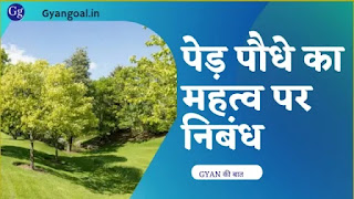 Importance Of Trees Essay hindi