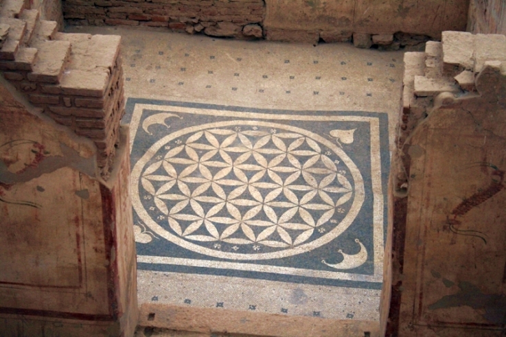 Fiore Della Vita Leonardo Da Vinci