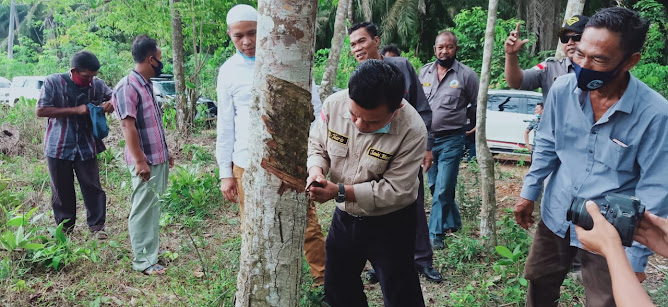 bertemu petani karet muaro jambi al haris teteskan air mata