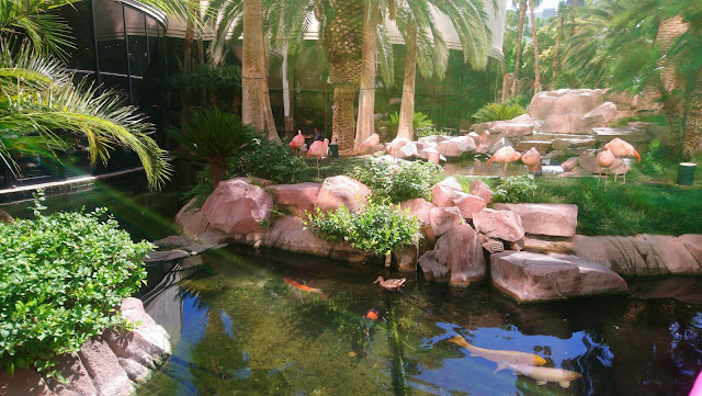 Flamingo Hotel Wildlife Habitat