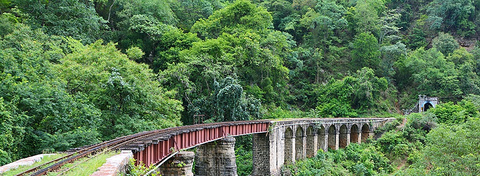 Nilgiri Mountain Railway trekking trough truly rocky terrain in deep forest