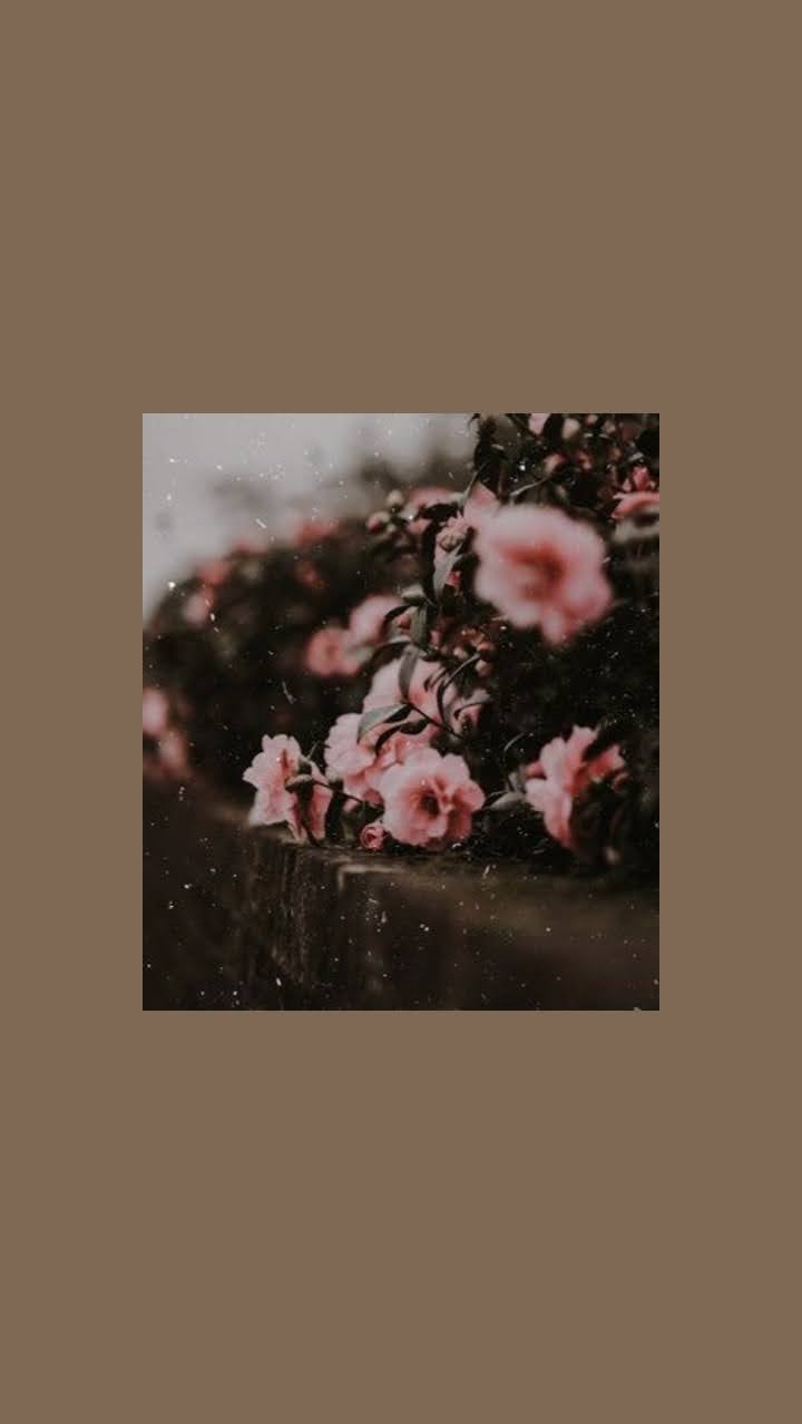 Fondos de pantalla aesthetic