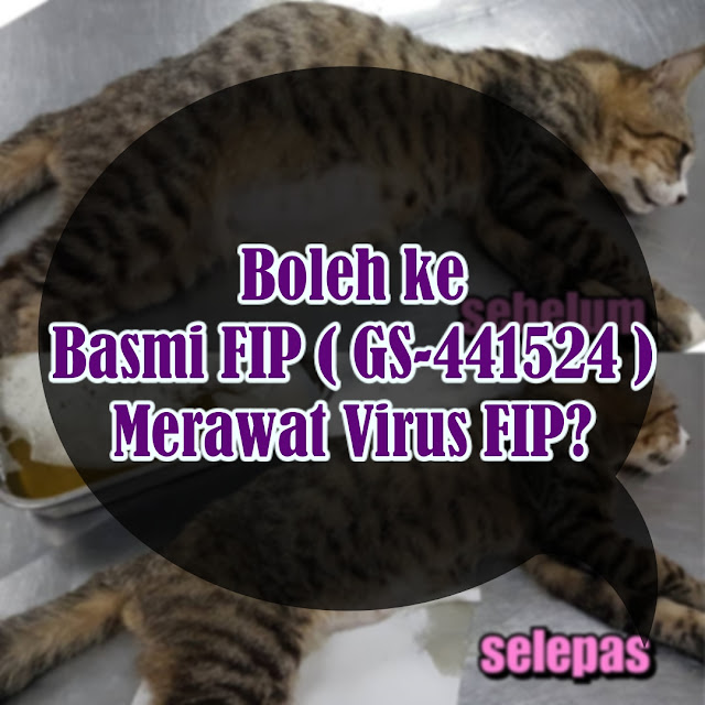 Basmi FIP ( GS-441524 )