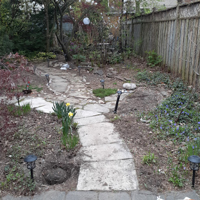 Mount Pleasant East Toronto Garden Makeover Before by Paul Jung Gardening Services--a Small Toronto Gardening Company