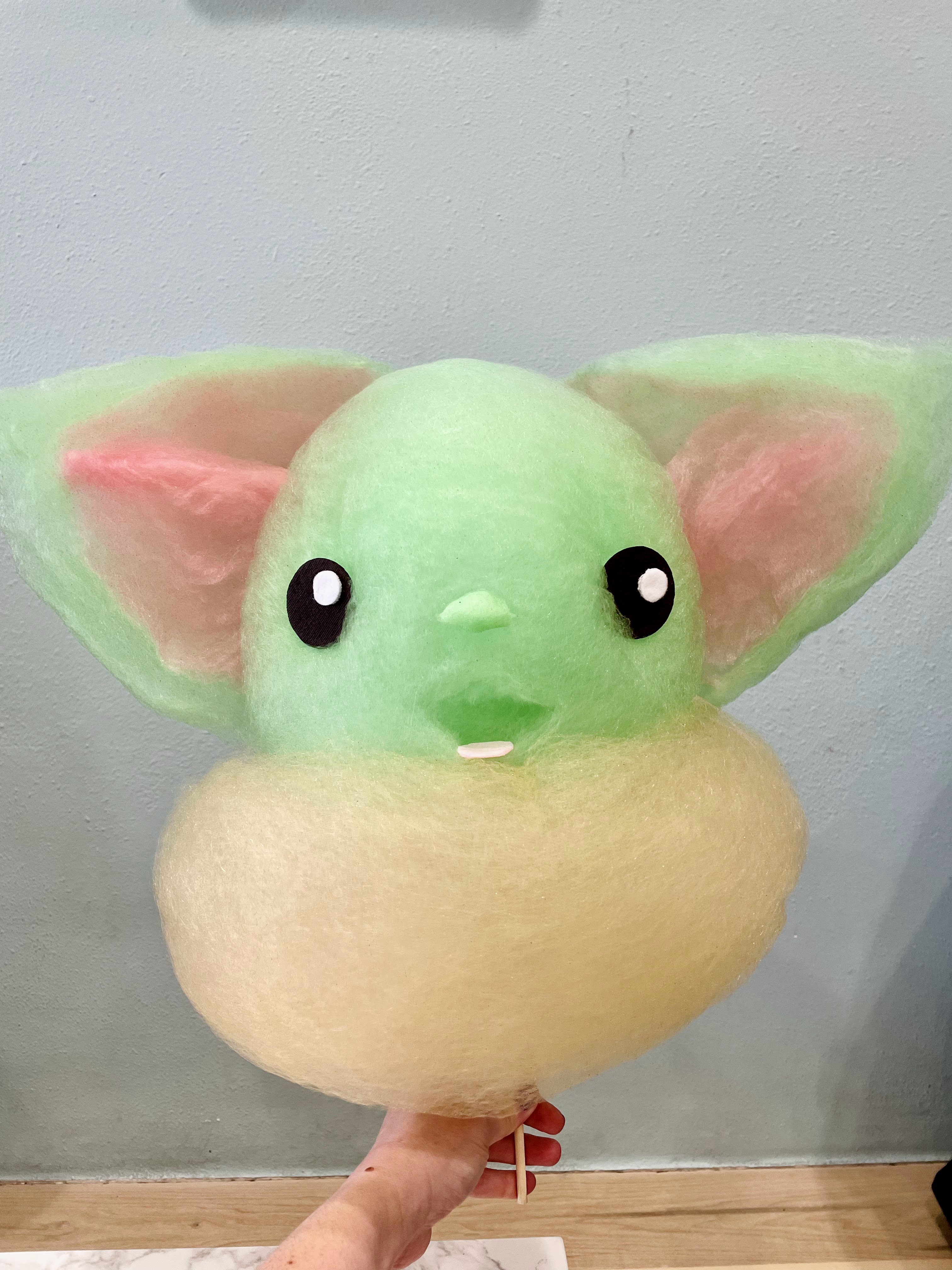 The Beauty of Life Sweet Spot Visiting Polar Playground for Cotton