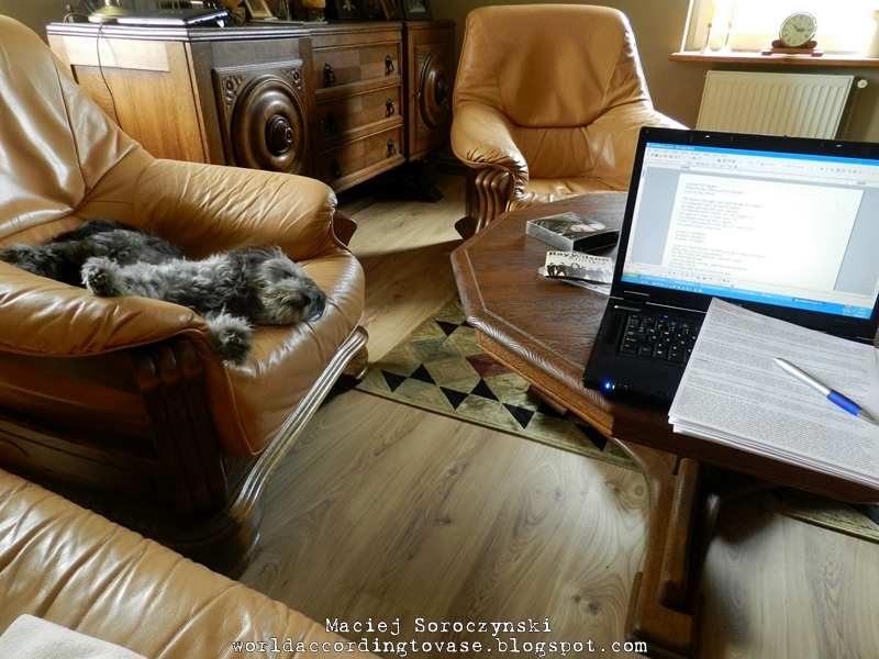 World According To Vase Genesis vs Stiltskin