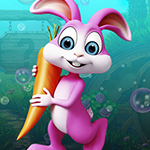 Play Games4King - G4K Beautiful Lucky Rabbit Escape Game