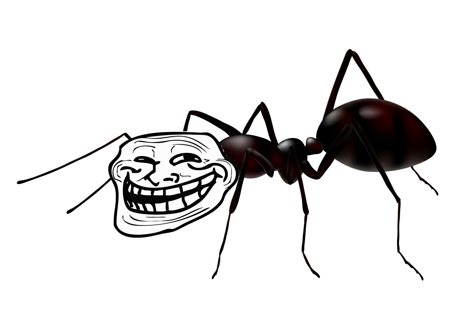 Brick Housewife The Ants Have Arrived