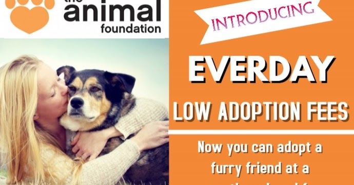 Pets-N-More: The Animal Foundation of Las Vegas