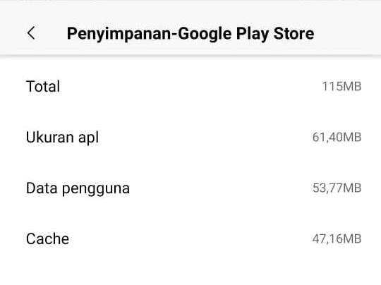 menghapus data play store