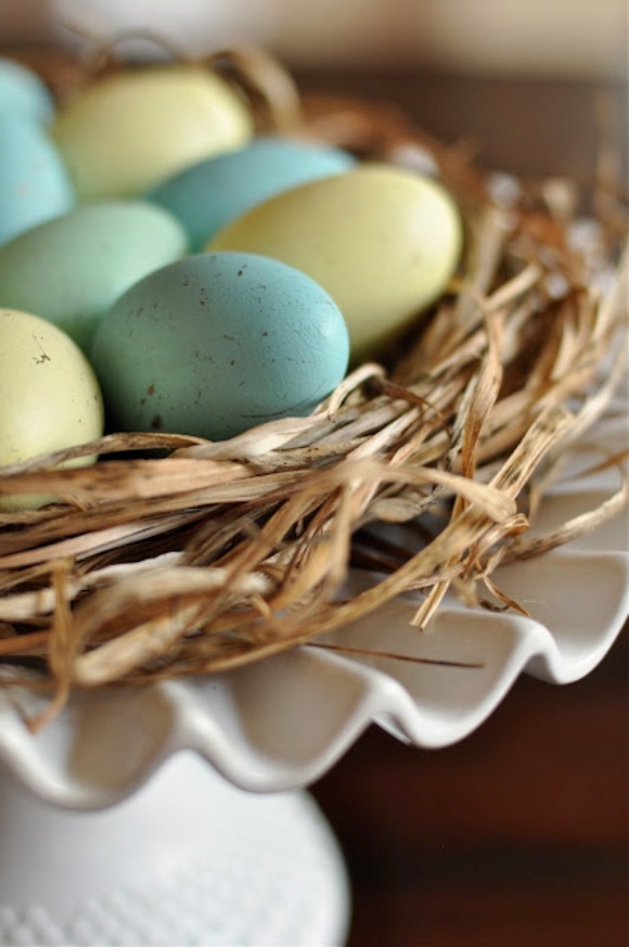 DIY Robin Blue Painted Easter Eggs - via BirdsParty.com