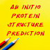 Ab Initio Protein Structure Prediction