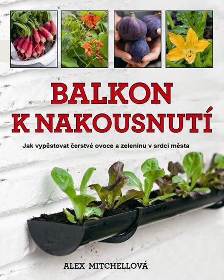 Tip na knihu: Balkon k nakousnutí