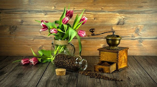 cni ginseng coffee kuattt khasiat dan manfaat