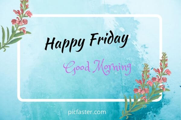 40+ Beautiful Friday Morning Images Quotes 2023 | Daily Wishes 40+ Beautiful Friday Morning Images Quotes 2023 | Daily Wishes