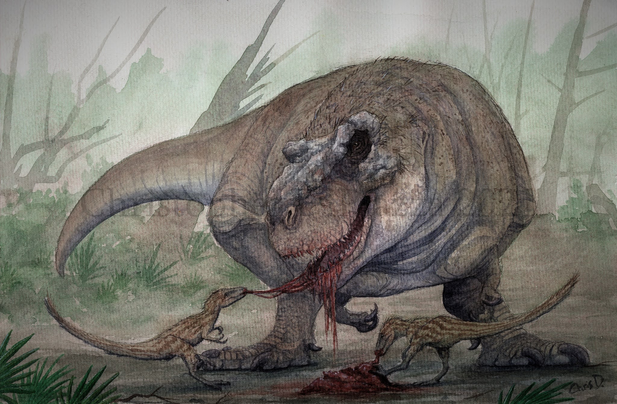 Dinosaurs: T. rex had more powerful jaws than its theropod ancestors