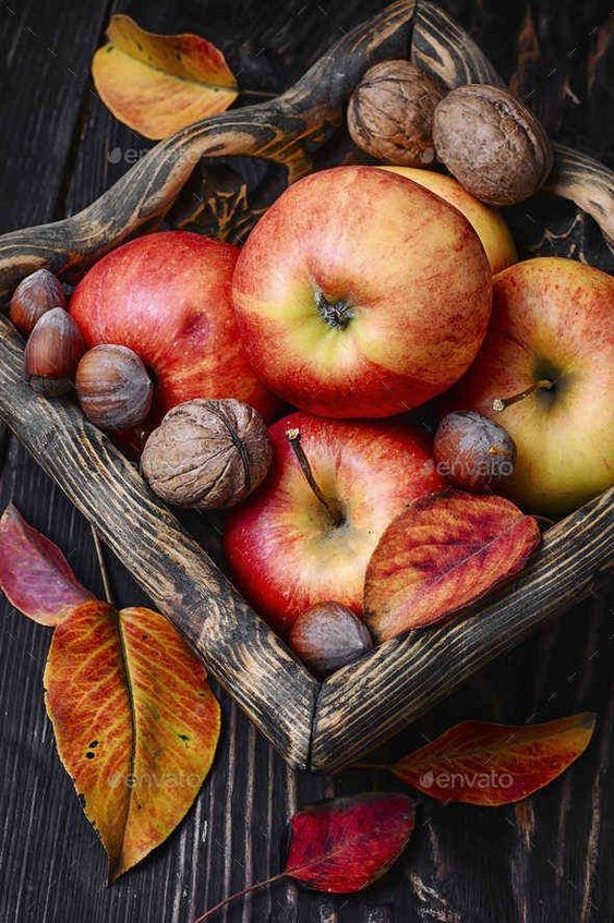 Wallpaper keren buah apel Gambar Wallpaper keren buah apel