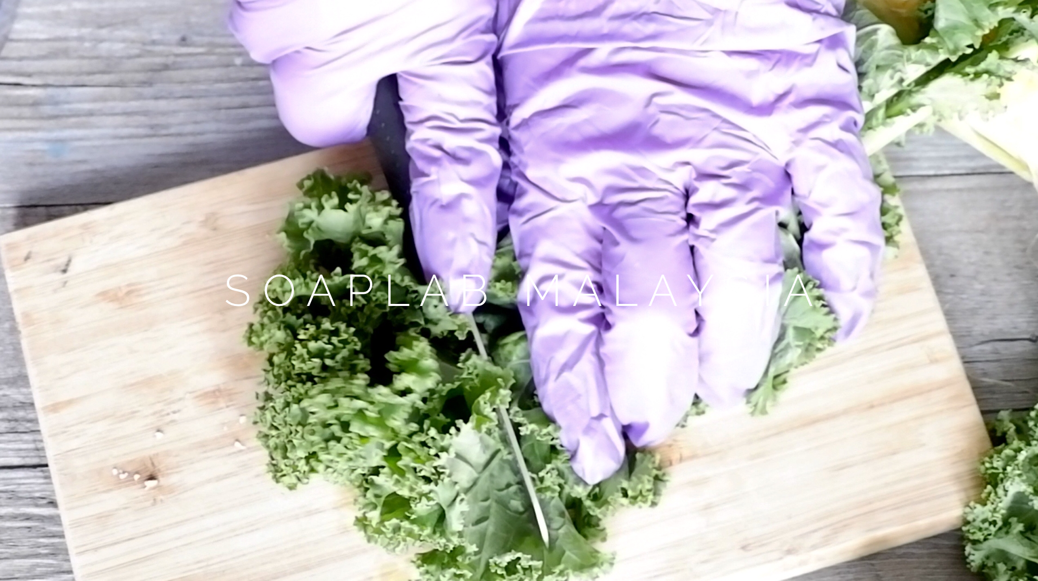 SoapLab Malaysia How To Make Seaweed & Mint Hair Serum For Hair Growth