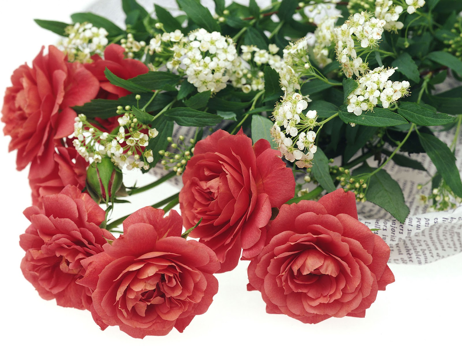 Romantic Flowers: Romantic Flowers