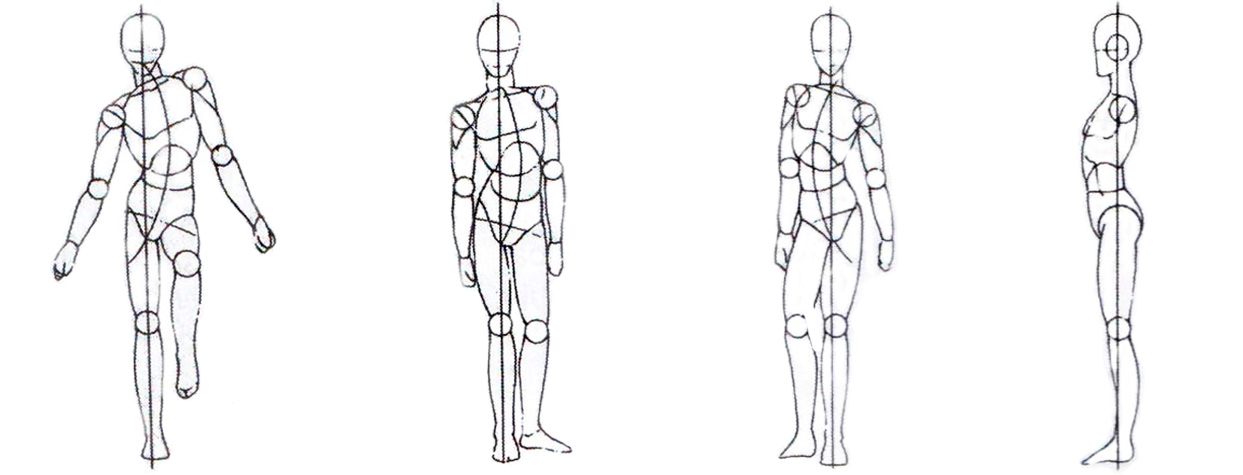 Cara Menggambar Model Manusia dengan Mudah (Proporsi Anatomi Badan ...