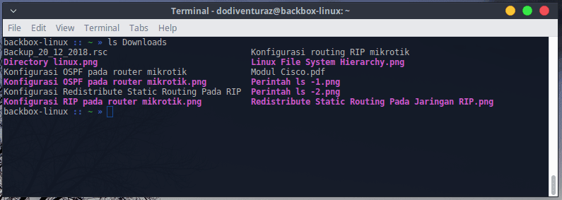 Cara Menampilkan Isi Folder Dengan Command Line Di Linux