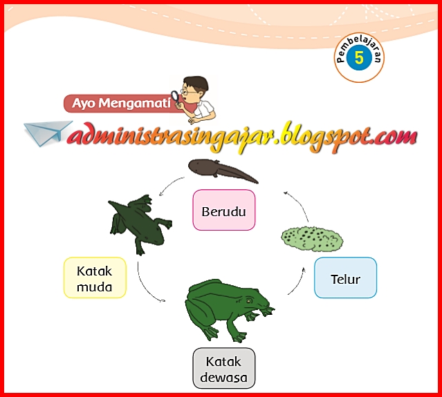 Kunci Jawaban Soal Tematik Tema 1 Kelas 3 Halaman 132 133 134 135 Administrasi Ngajar