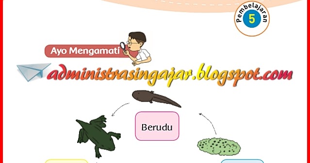 Kunci Jawaban Soal Tematik Tema 1 Kelas 3 Halaman 132 133 134 135 - Administrasi Ngajar