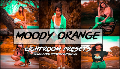 coolphotoediting Moody Orange Presets