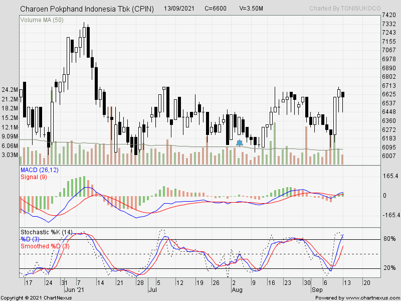 harga saham charoen pokphand indonesia tbk Cpin saham tradingview