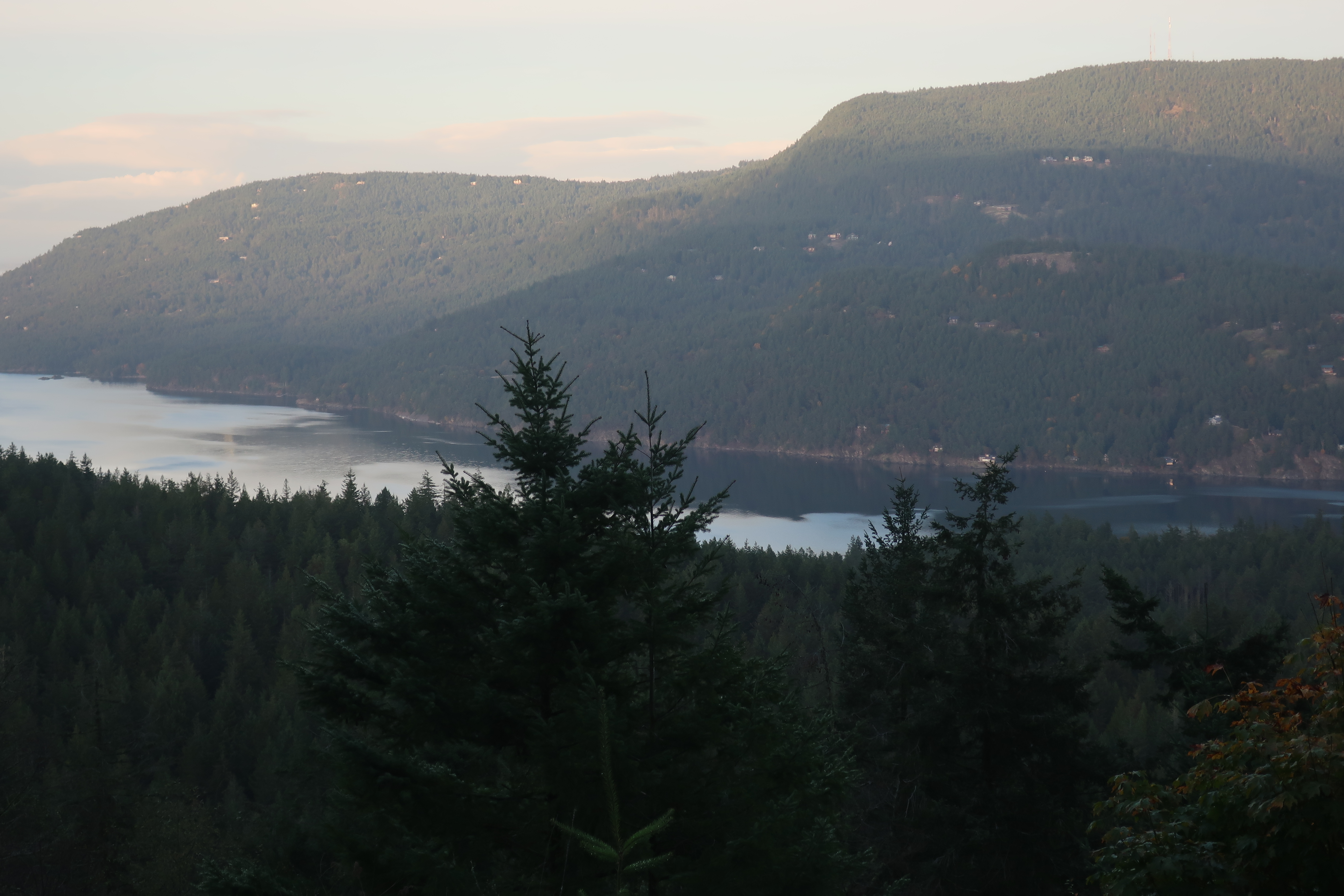 Reading the Washington Landscape East Sound Fjord
