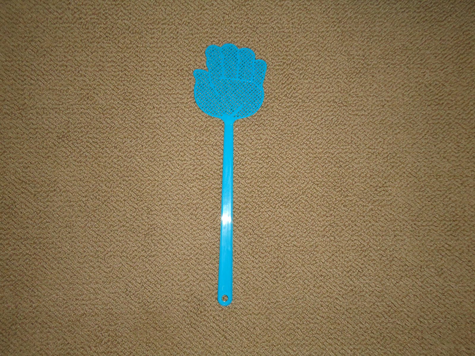 Literacy Minute Fly Swatter Ideas for Math and Vocabulary