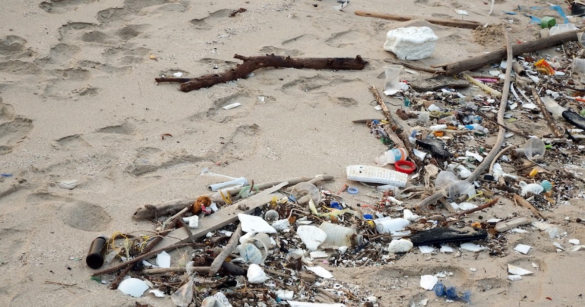 Endangered New Jersey The Dangers of Plastic Pollution to Marine Life