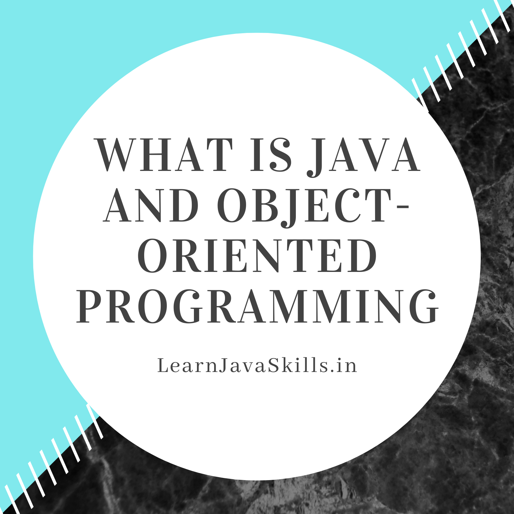 What is java and Object-oriented programming