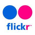 Flickr Gallery