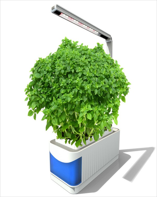 √√ Indoor Herb GARDEN Planters | Home Interior Exterior Decor & Design