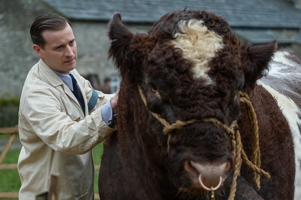 All Creatures Big and Small – Period Drama Films