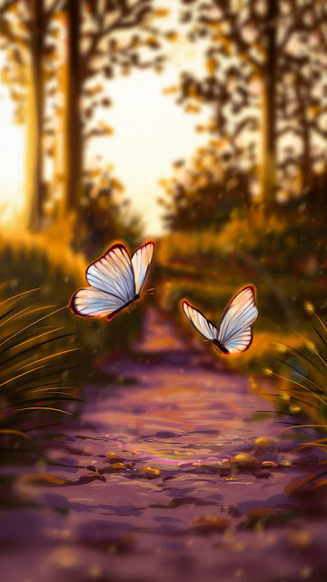 Wallpaper Beautiful Btterflies Flying Together