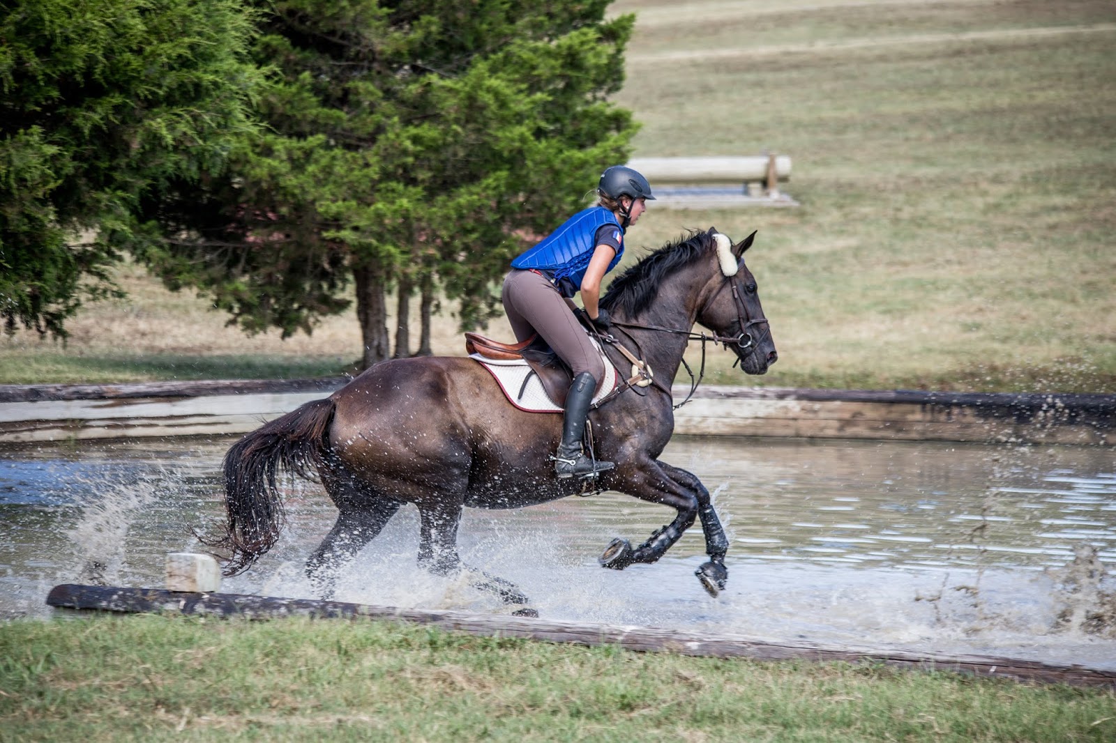 JUMPING DRESSAGE EVENTING